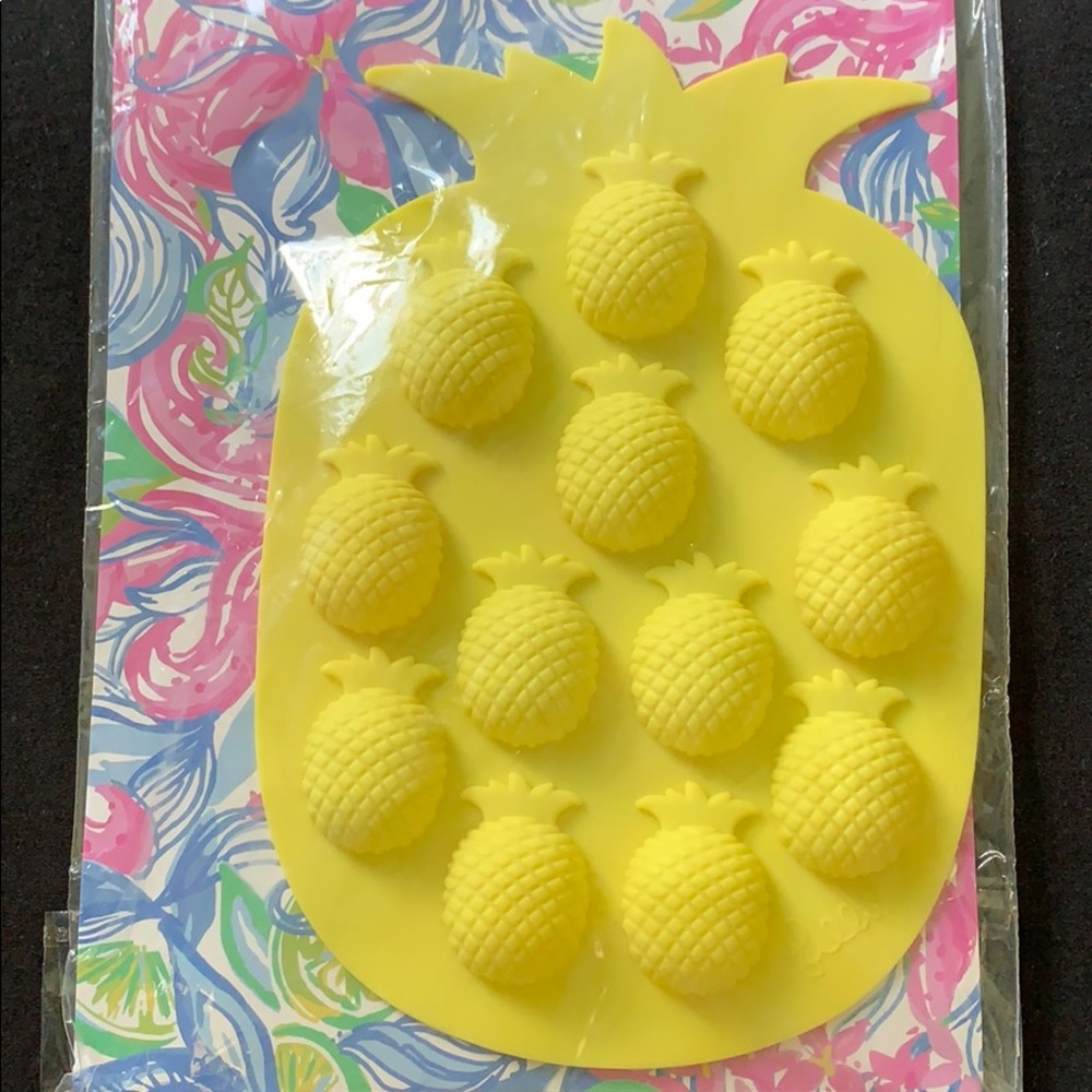 Lily Pulitzer ice cube tray🍍
